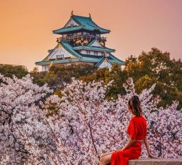 Platinum Doğu Asya'nın Üç Hazinesi “Japonya, Güney Kore, Çin” (HND-PEK) THY ile 11 gece Tokyo (2) - Hakone - Osaka (3) - Kyoto - Kobe - Nara - Seul (2) - Şanghay (2) - Pekin (2) | Tüm turlar ve giriş