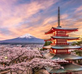 Sakura Ozel Grand Japonya Kore Turu THY