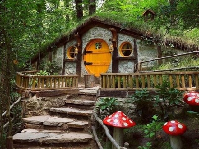 Kasım Ara Tatili Günübirlik Maşukiye Cam Teras Ormanya Hobbit Turu